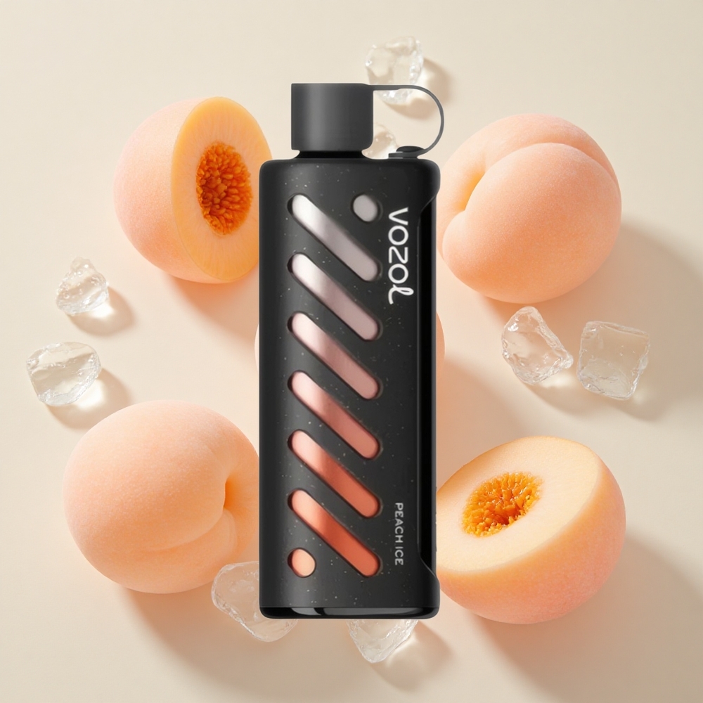 VOZOL Gear Shisha 25000 Puffs (1000mAh) Virsikujää
