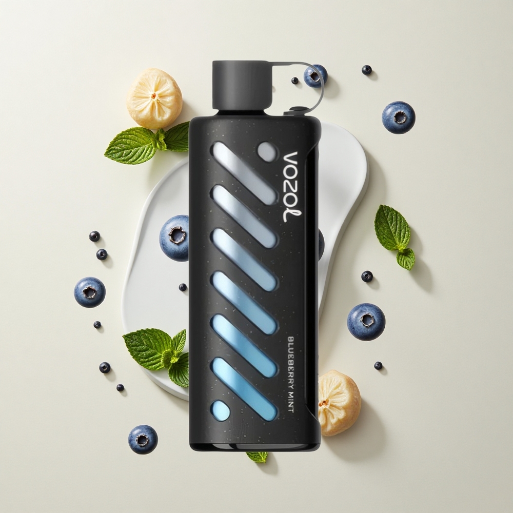 VOZOL Gear Shisha 25000 Puffs Mustikamentoliga