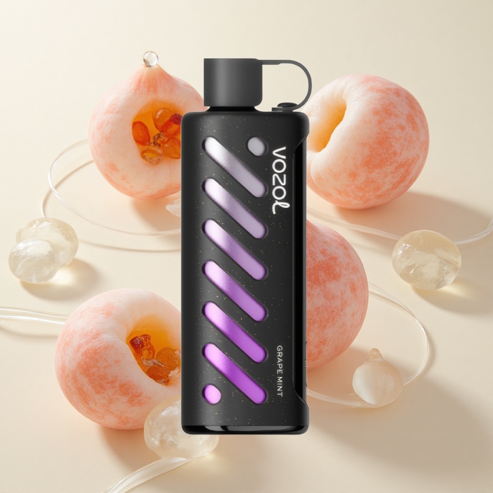 VOZOL Gear Shisha 25000 Puffs Viinamarja Mündi Aromaat