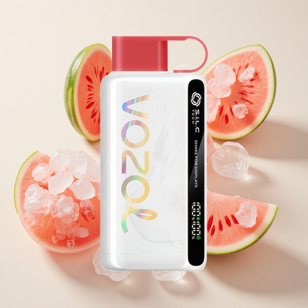 VOZOL STAR 9000/12000 Ühekordne Vape 30% kiirem laadimine Arbujää