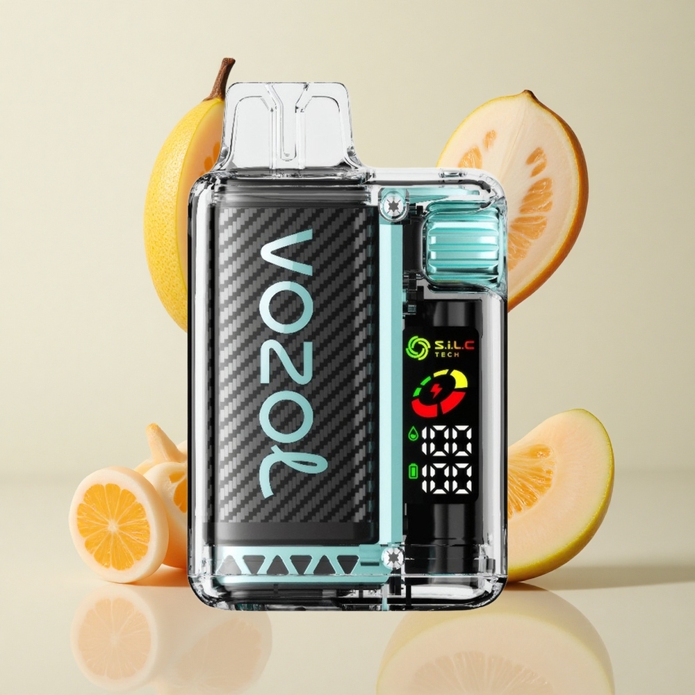 VOZOL Vista 20000 Puffs 650mAh Akuga Miami Münt